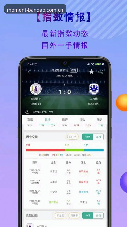 资深用户深度解析：半岛体育app下载与实战使用心得