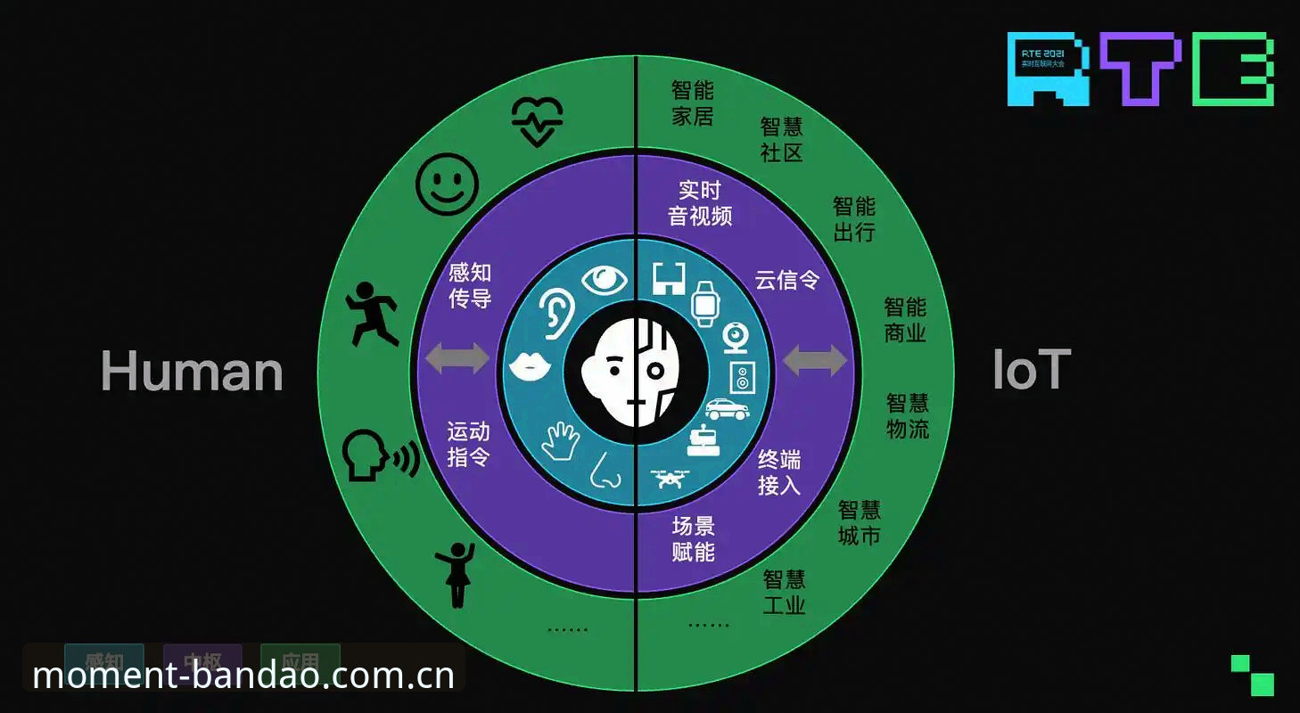 掌握半岛体育赛事直播的关键技巧：从高清画质到实时互动的实用指南