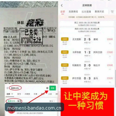 半岛体育功能安全深度评测：从赛事直播到数据加密的全面分析